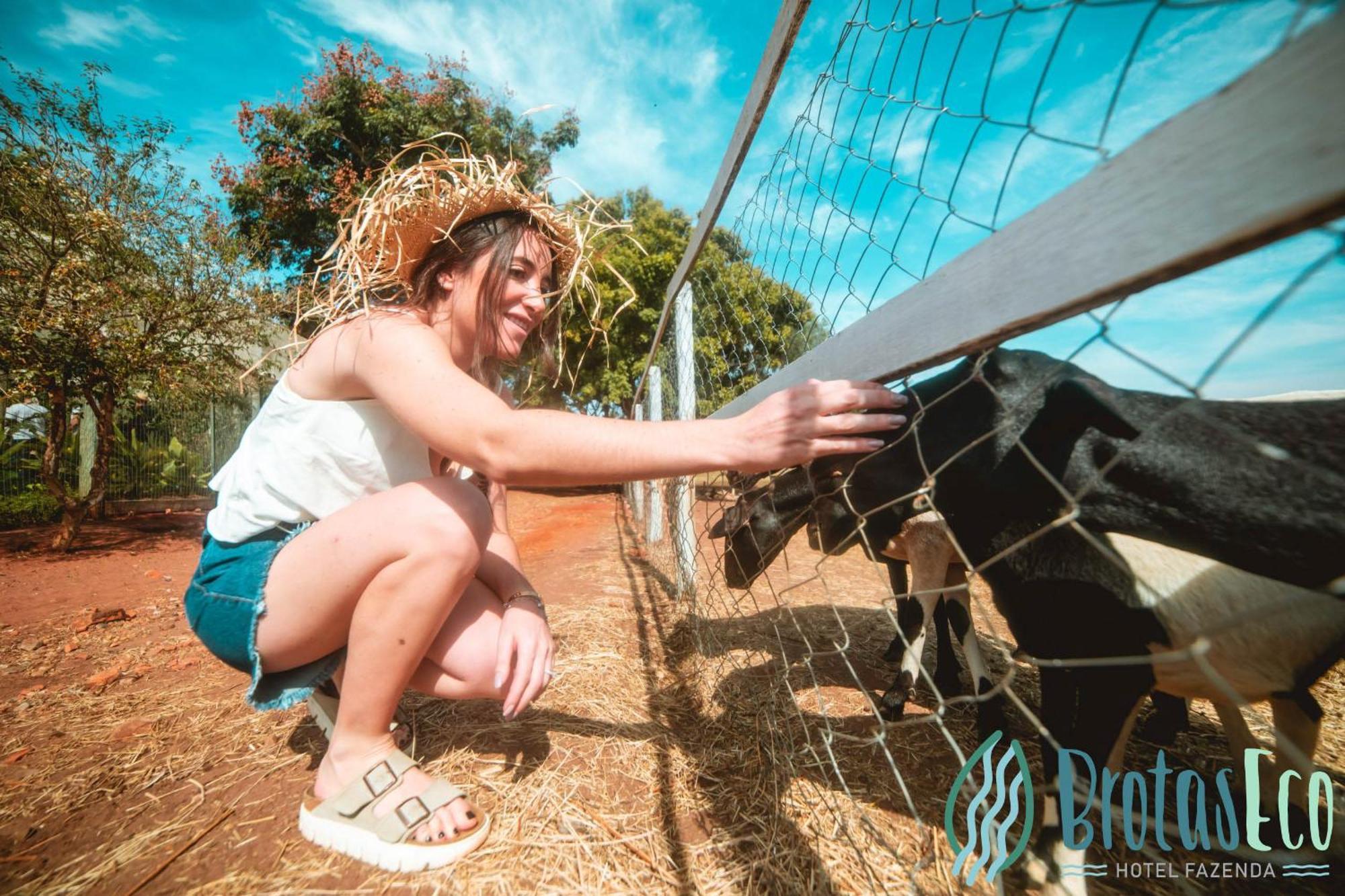 Brotas Eco Hotel Fazenda Экстерьер фото
