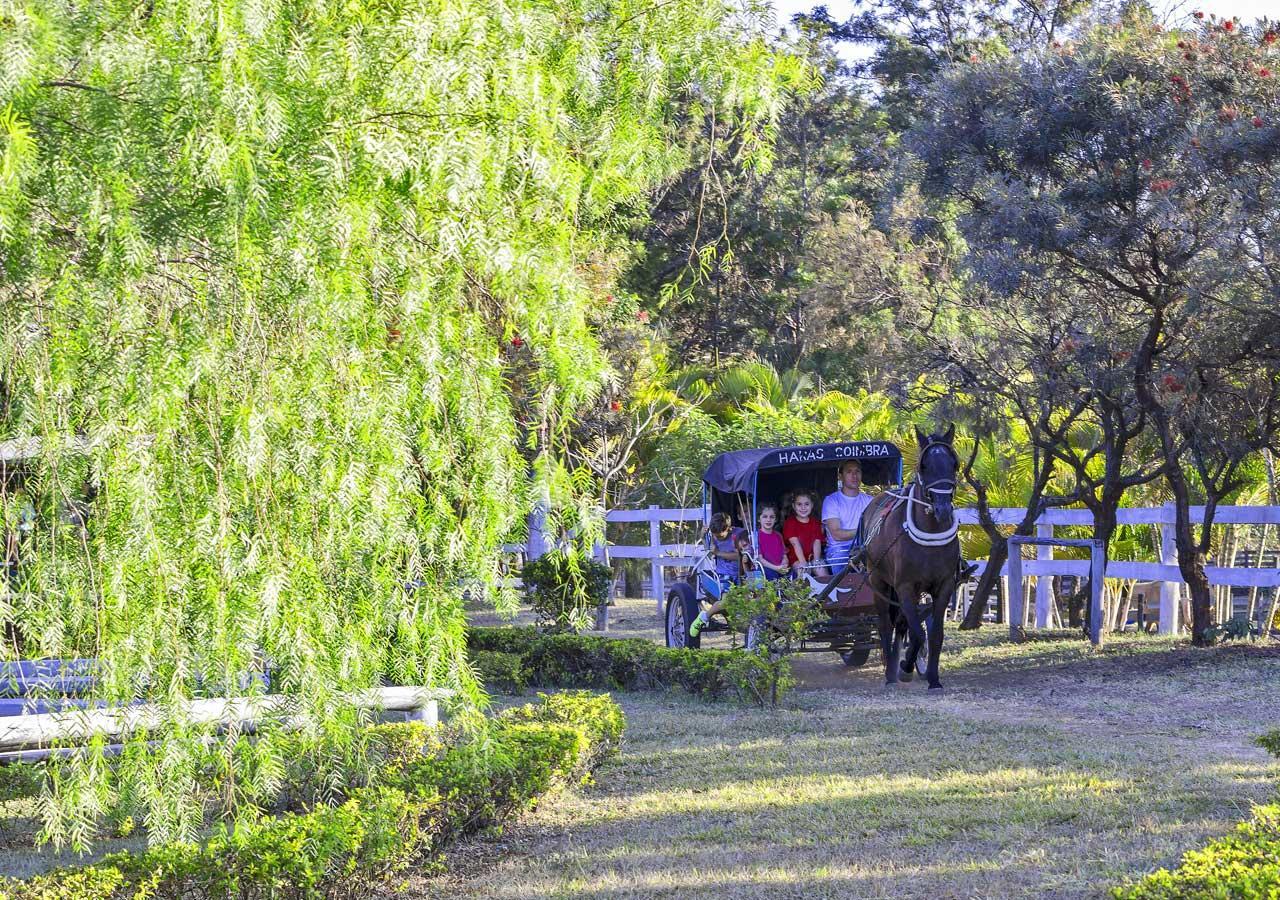 Brotas Eco Hotel Fazenda Экстерьер фото